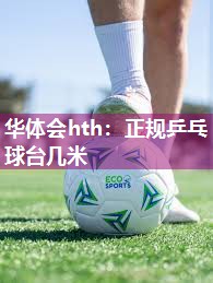 华体会hth：正规乒乓球台几米