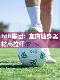 hth集团：室内健身器材高拉杆