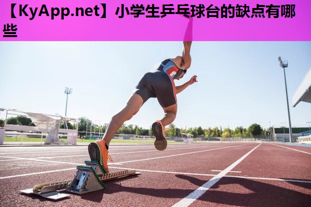 小学生乒乓球台的缺点有哪些