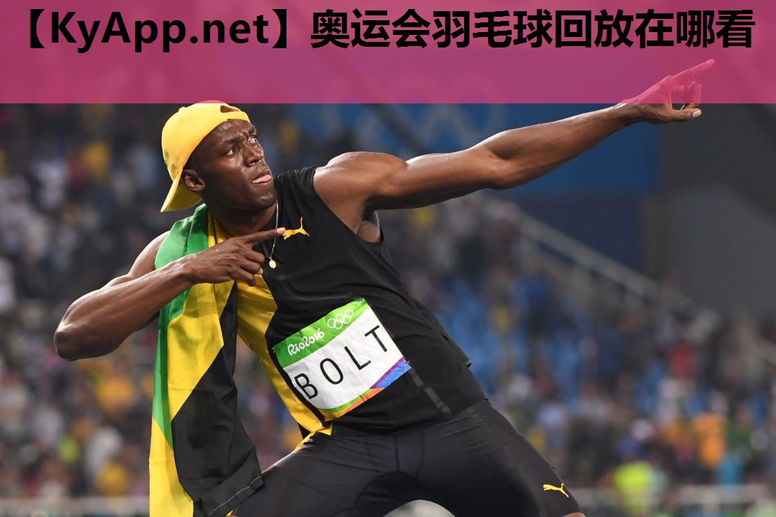 奥运会羽毛球回放在哪看
