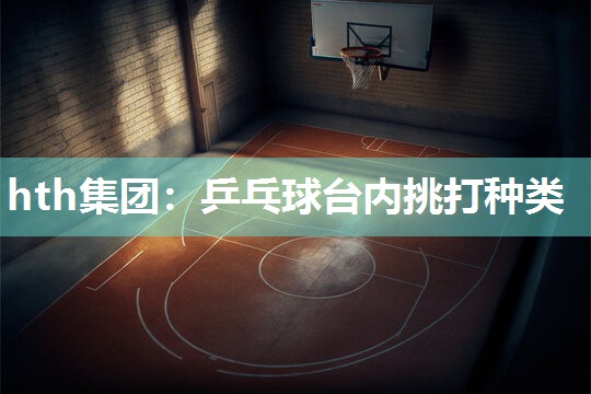 乒乓球台内挑打种类