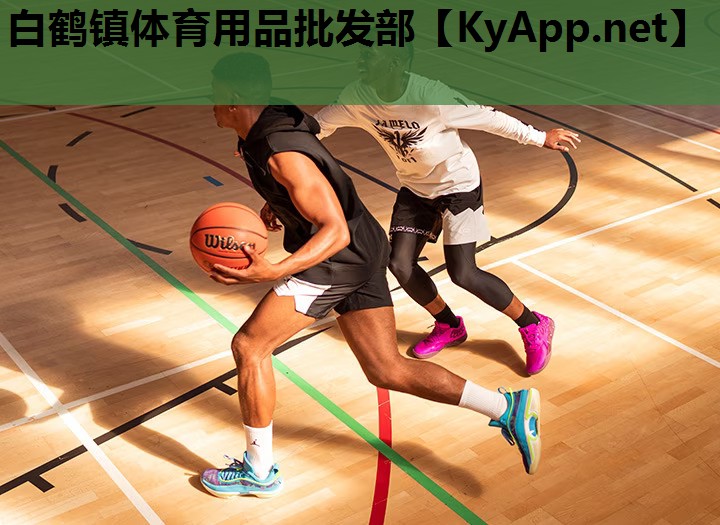 白鹤镇体育用品批发部 白鹤镇体育用品批发部